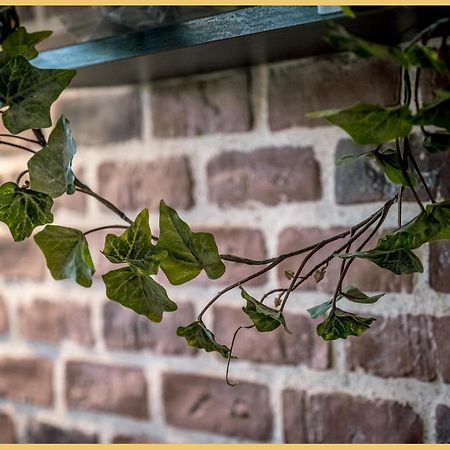 Appartement T3 I Cozy I Douvaine Εξωτερικό φωτογραφία